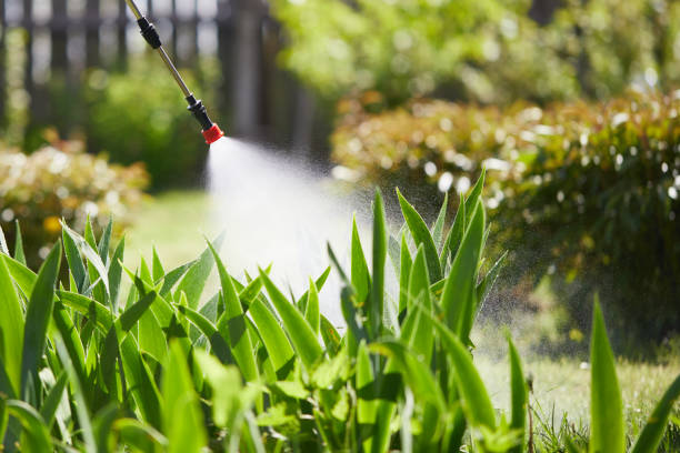 24/7 Emergency Mosquito Control experts in French Lick, IN